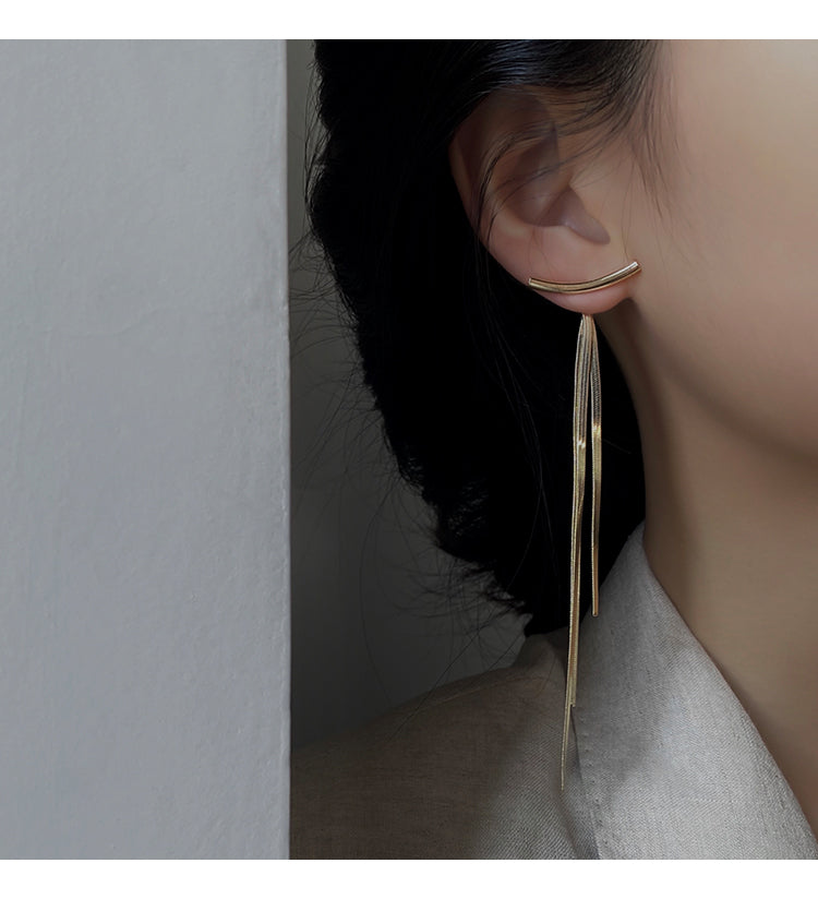 Tassel earrings women's 2023 new trendy cool temperament Internet celebrity long earrings show face thin earrings high-end sense earrings
