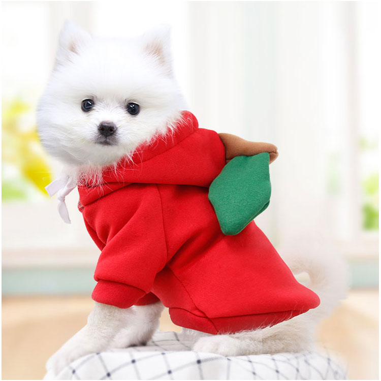 Pet clothes transformed into clothes for dogs, small and medium-sized puppies and cats